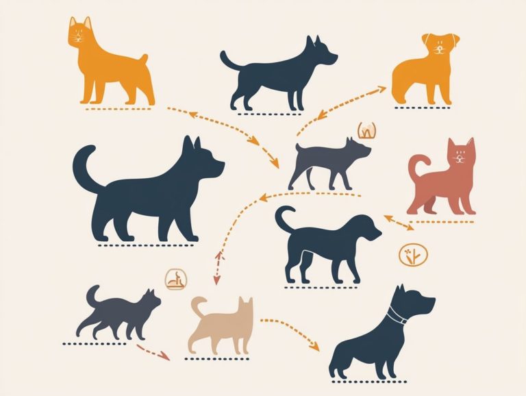 Understanding the Timeline of Pet Anxiety Treatment